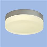 Metal Ceiling Light