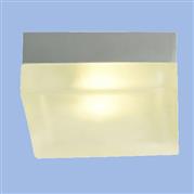 Frosted Glass Shade